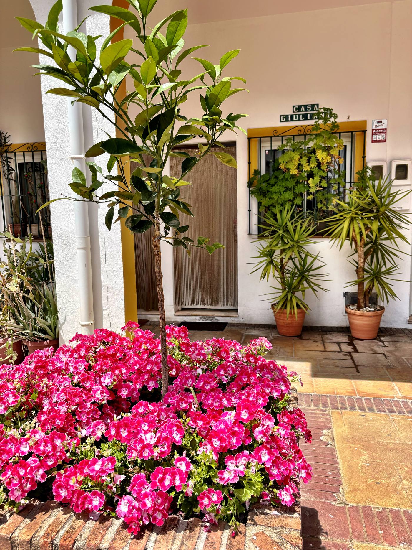 Casa Giuliani entrada flores